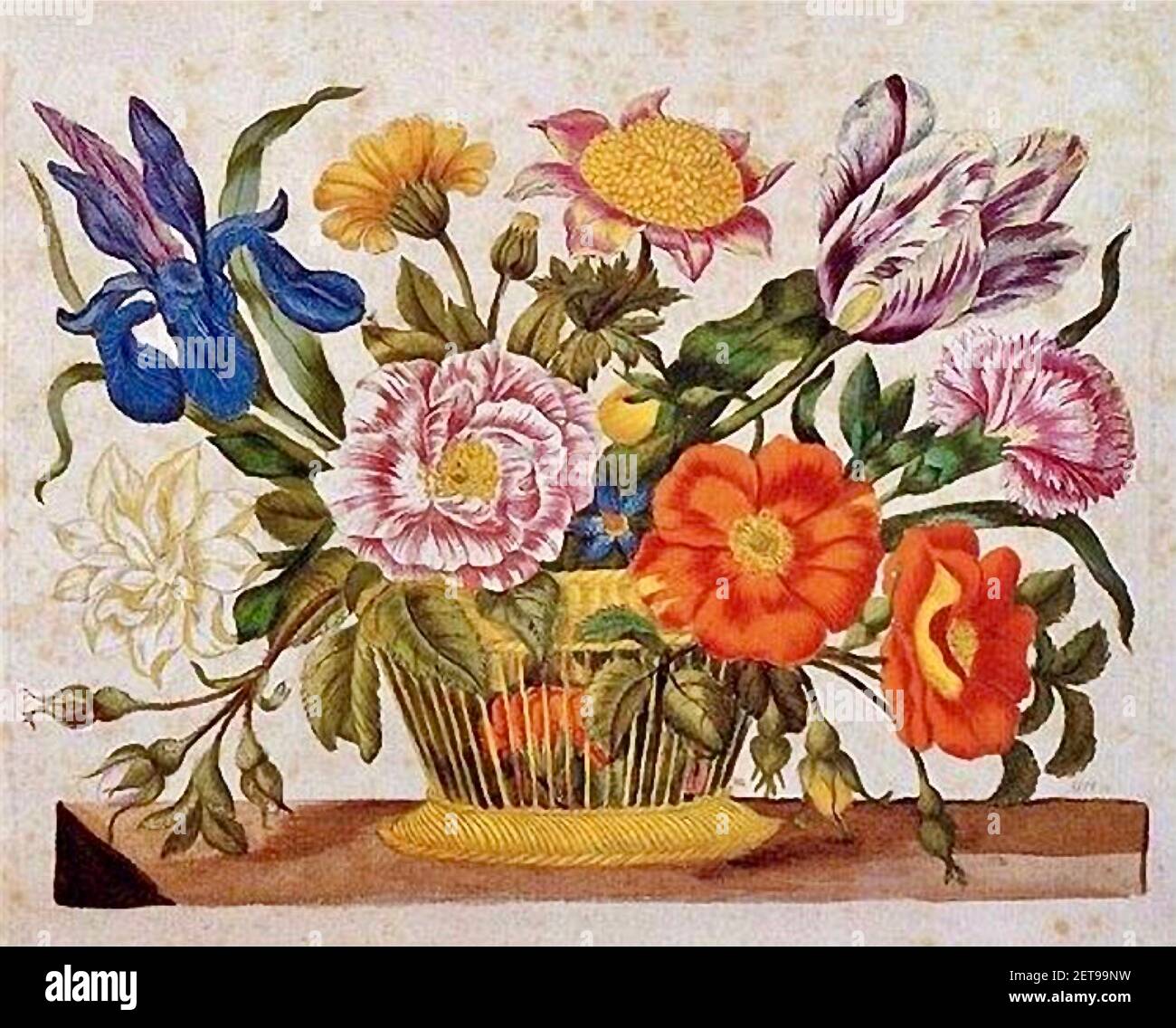Maria Sibylla Merian floral artwork from 1680. Stock Photo