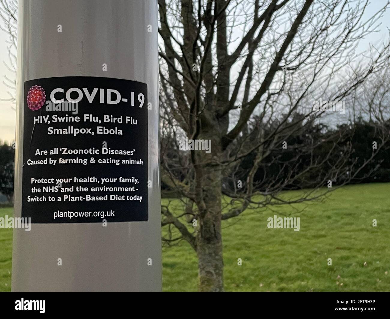 A notice on a lamppost stating that Covid-19 is caused by farming and eating animals. Stock Photo