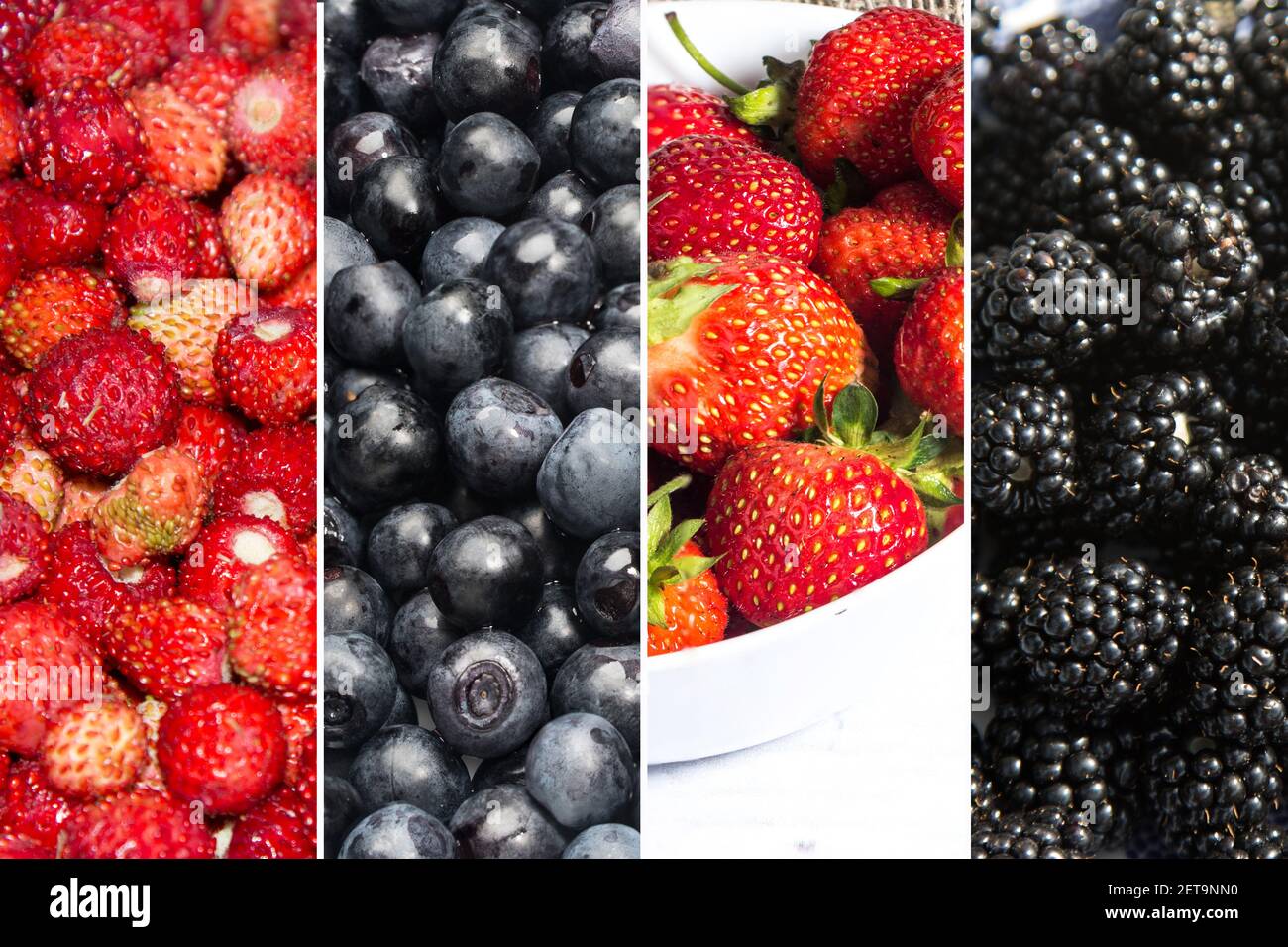Horizontal collage hi-res stock photography and images - Alamy