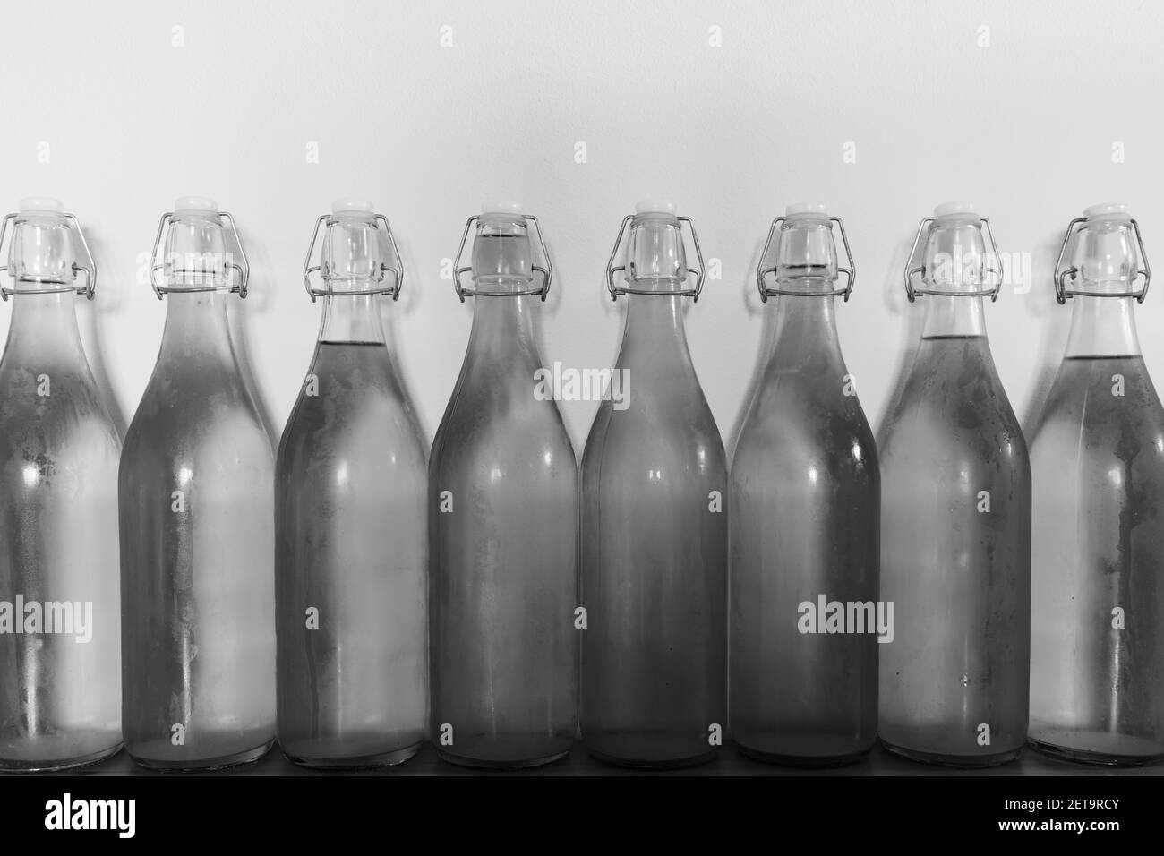 Black and white photo of a row of flip top bottles of home made cider covered in condensation Stock Photo