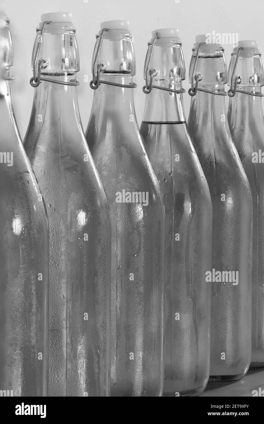 Black and white photo of a row of flip top bottles of home made cider covered in condensation Stock Photo