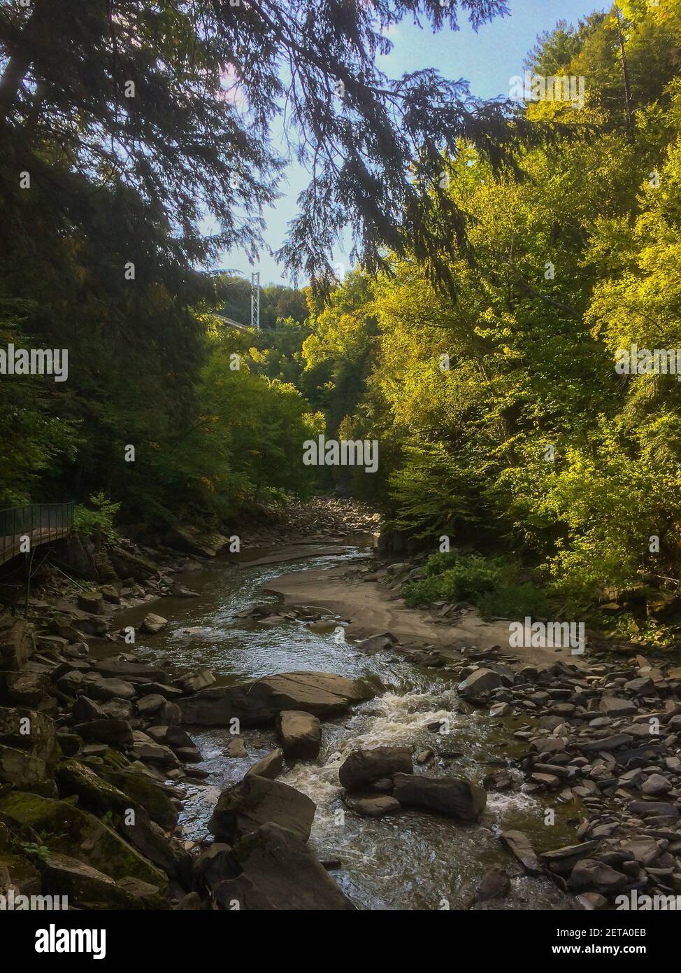 View of the Magog River in Quebec flowing though a forest, Canada Stock Photo