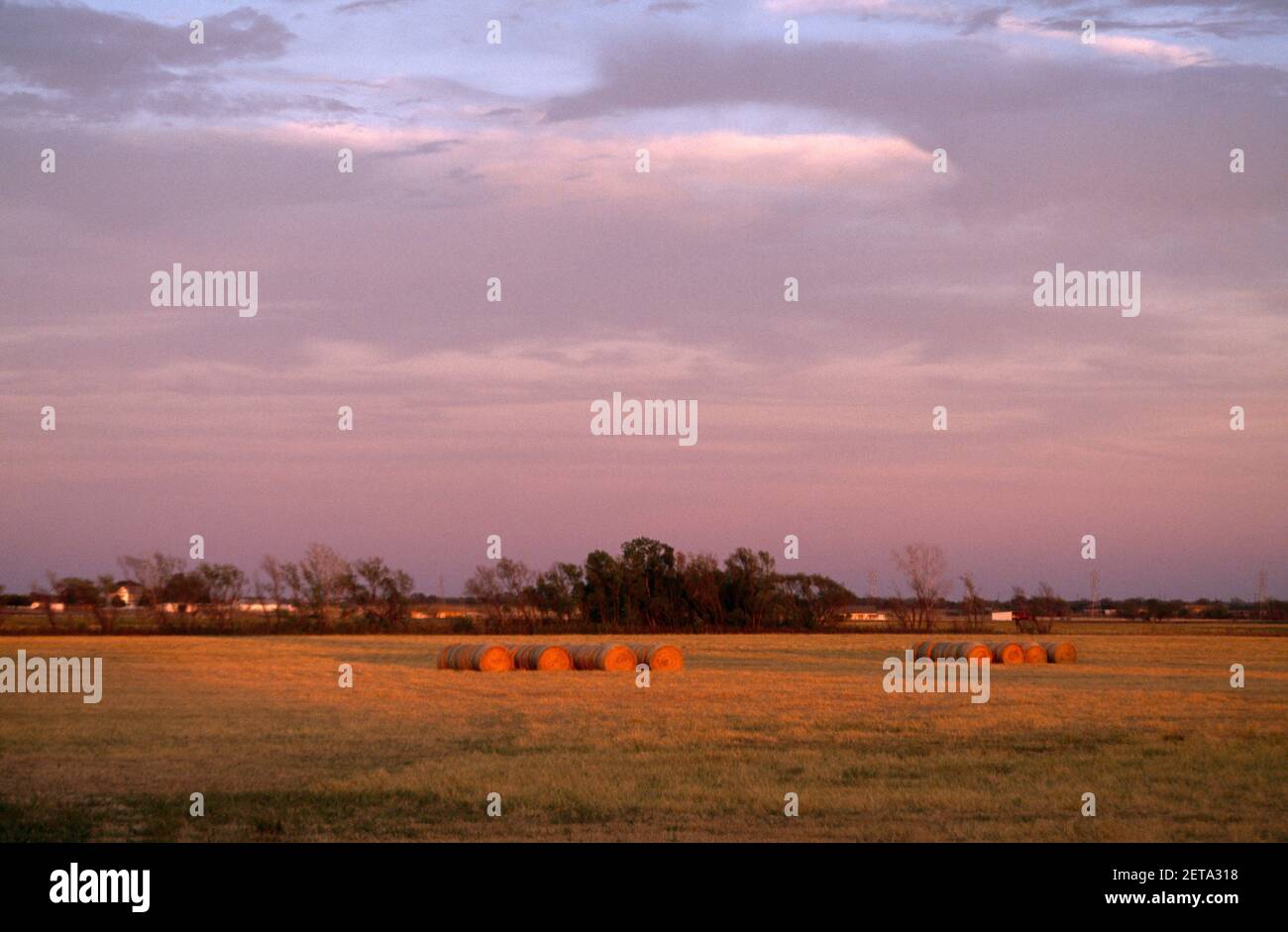 Buffer strip hires stock photography and images Alamy