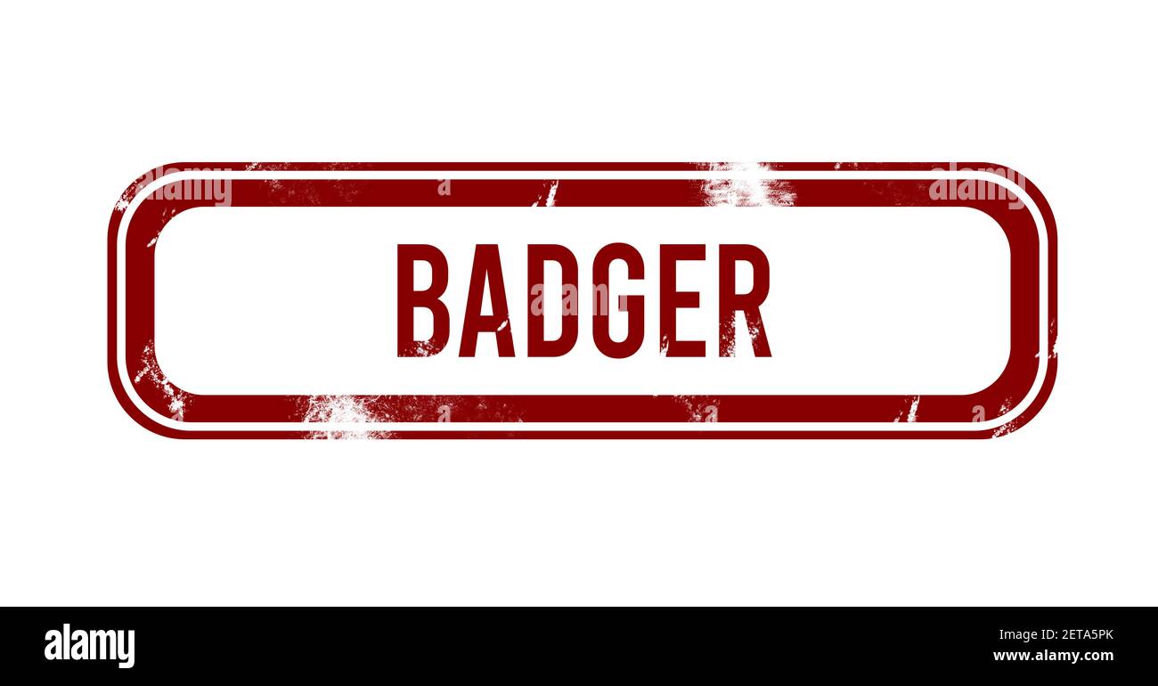 badger red grunge button stamp Stock Photo Alamy