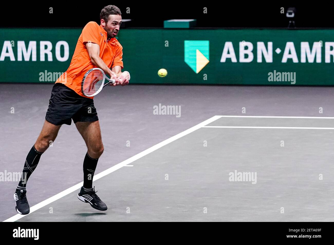 bruid temperen Sluimeren ROTTERDAM, THE NETHERLANDS - MARCH 1: David Pel of The Netherlands during  the 48e ABN AMRO World Tennis Tournament at Rotterdam Ahoy on March 1, 2021  Stock Photo - Alamy