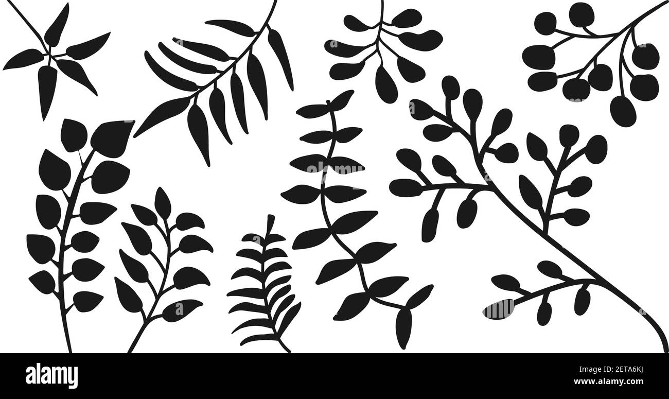Fern leaves silhouettes hi-res stock photography and images - Alamy