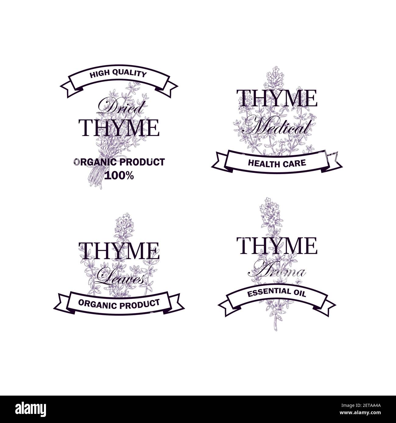 Set of thyme logo with hand drawn elements. Vector illustration in
