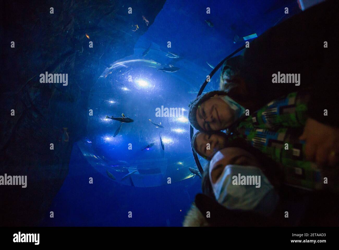 Underwater view, wide angle photo Stock Photo Alamy