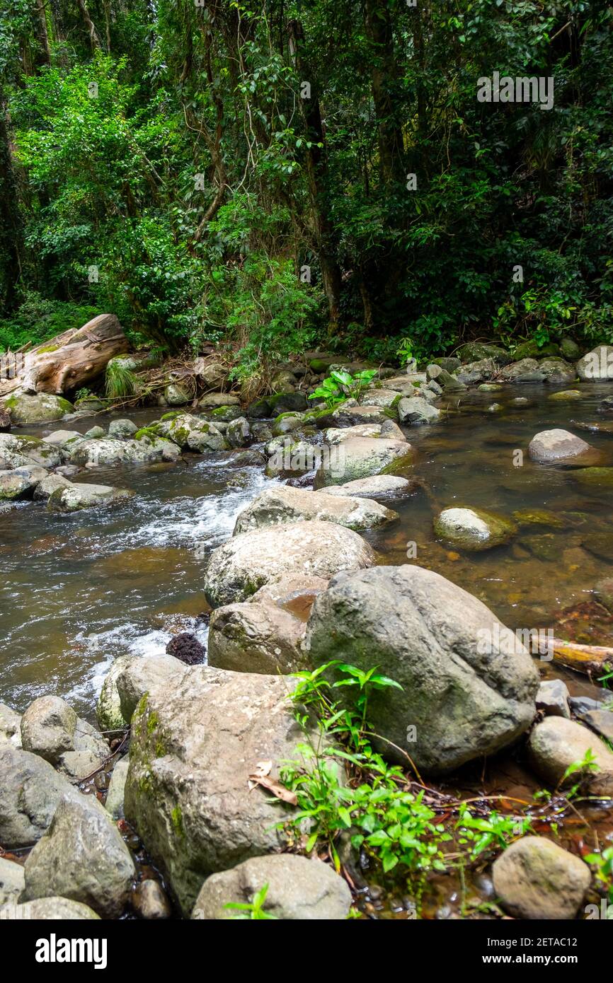 Creek crossings in Canungra Stock Photo Alamy
