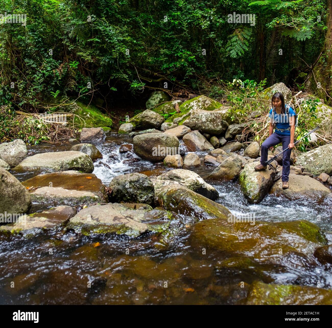 Creek crossings in Canungra Stock Photo Alamy