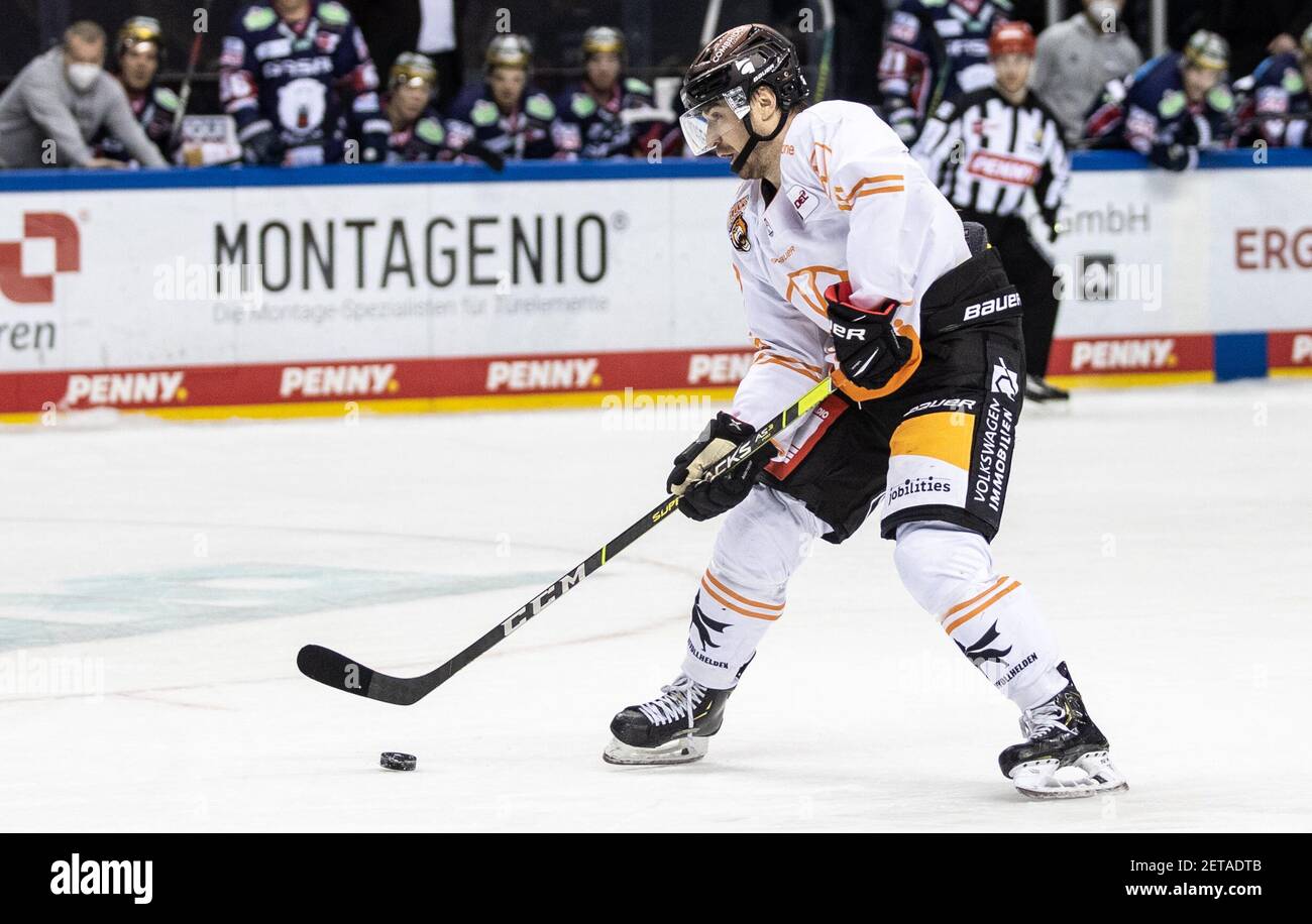 Grizzlys wolfsburg hi-res stock photography and images - Page 4