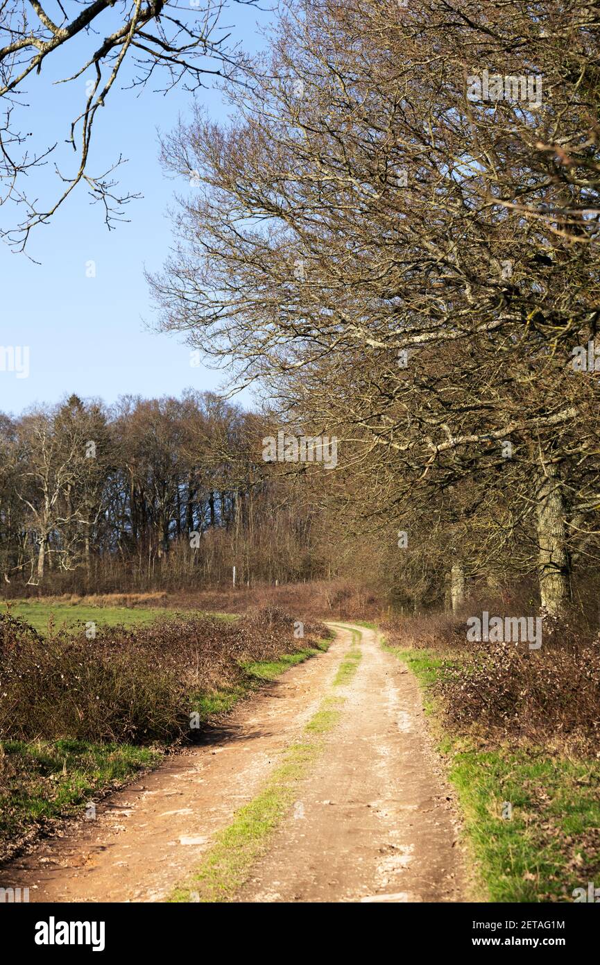 Farm track in the countryside on a sunny winter afternoon Stock Photo