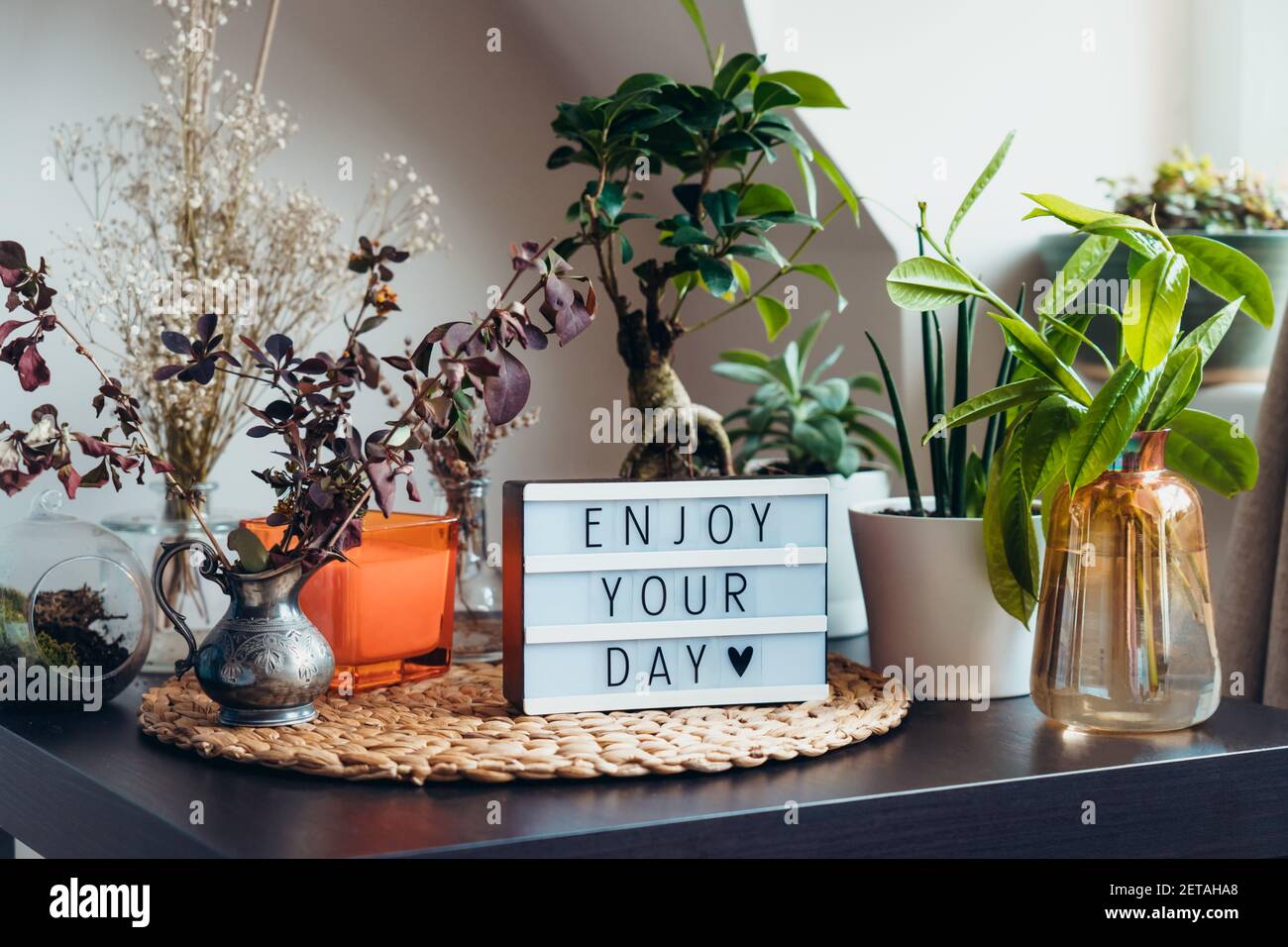 Enjoy your day message on lightbox standing on a table with green home plants. Home gardening corner inside of the house. Calm and cozy area for Stock Photo
