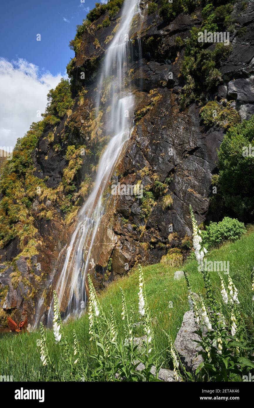 Wishbone Falls in the Matukituki Valley in Mt Aspiring National Park Stock Photo
