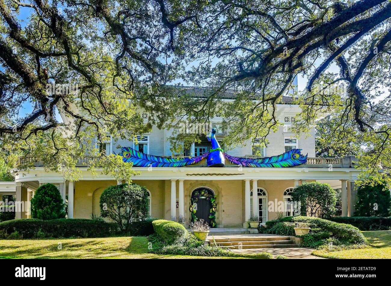 The Burgess-Maschmeyer Mansion is decorated with a peacock for Mardi Gras on Government Street, Feb. 19, 2021, in Mobile, Alabama. Stock Photo