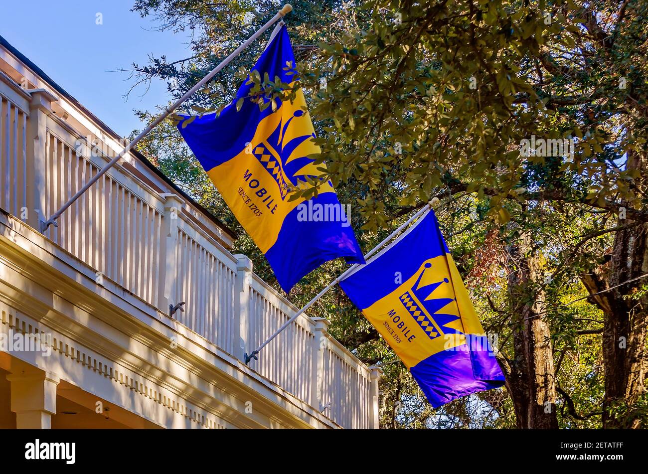 mardi gras feather flags