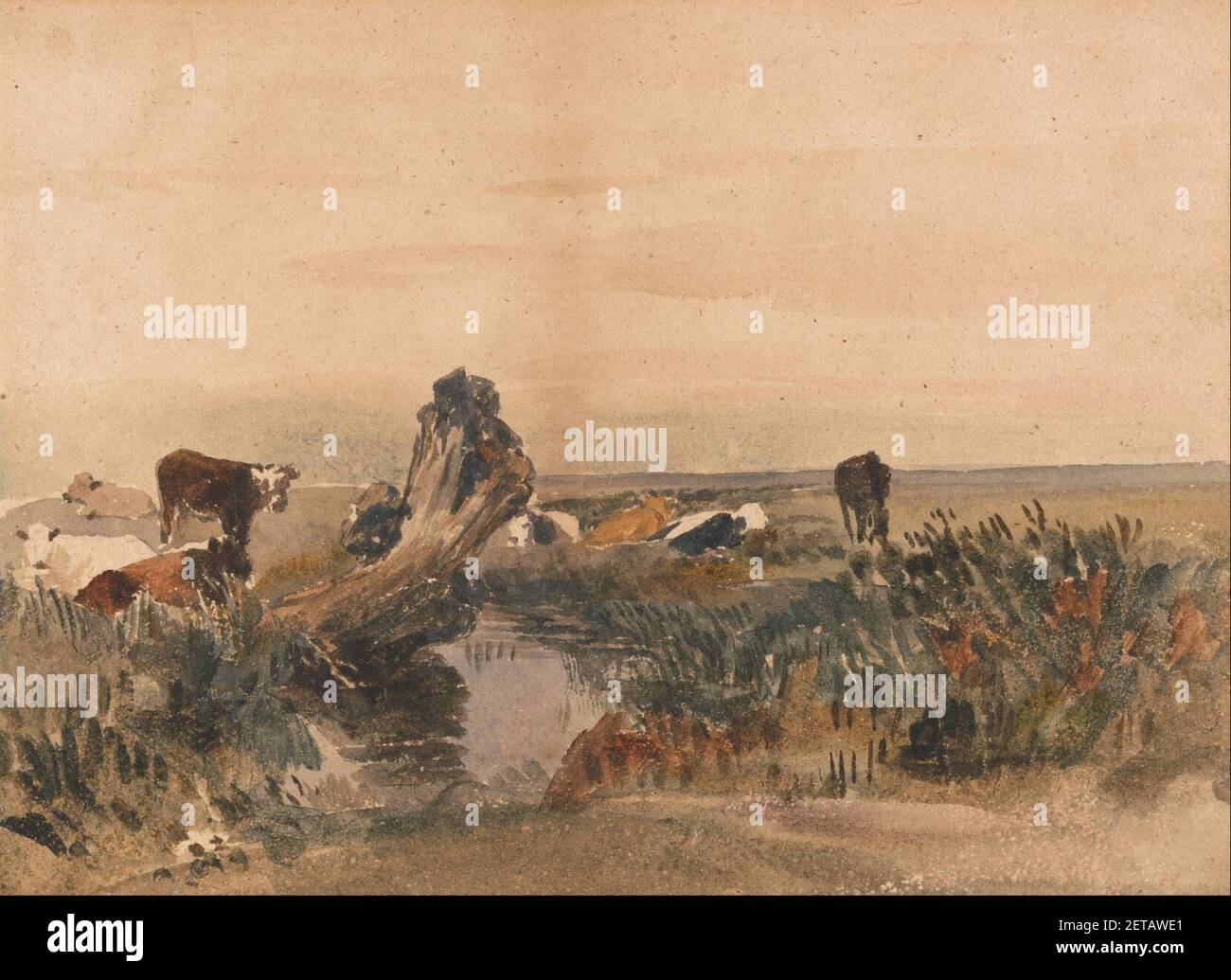 Peter DeWint Cattle by a Stream Stock Photo Alamy