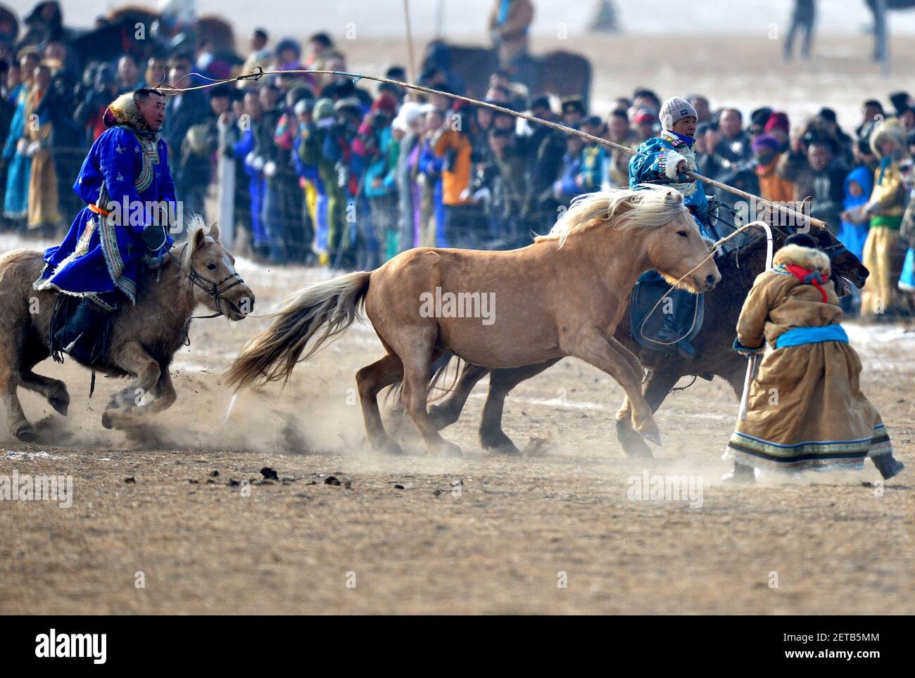 170107) -- WEST UJIMQIN, Jan. 7, 2017 (Xinhua) -- Mongolian herdsmen lasso  horses at a winter Nadam fair in West Ujimqin Banner, north China's Inner  Mongolia Autonomous Region, Jan. 7, 2017. The