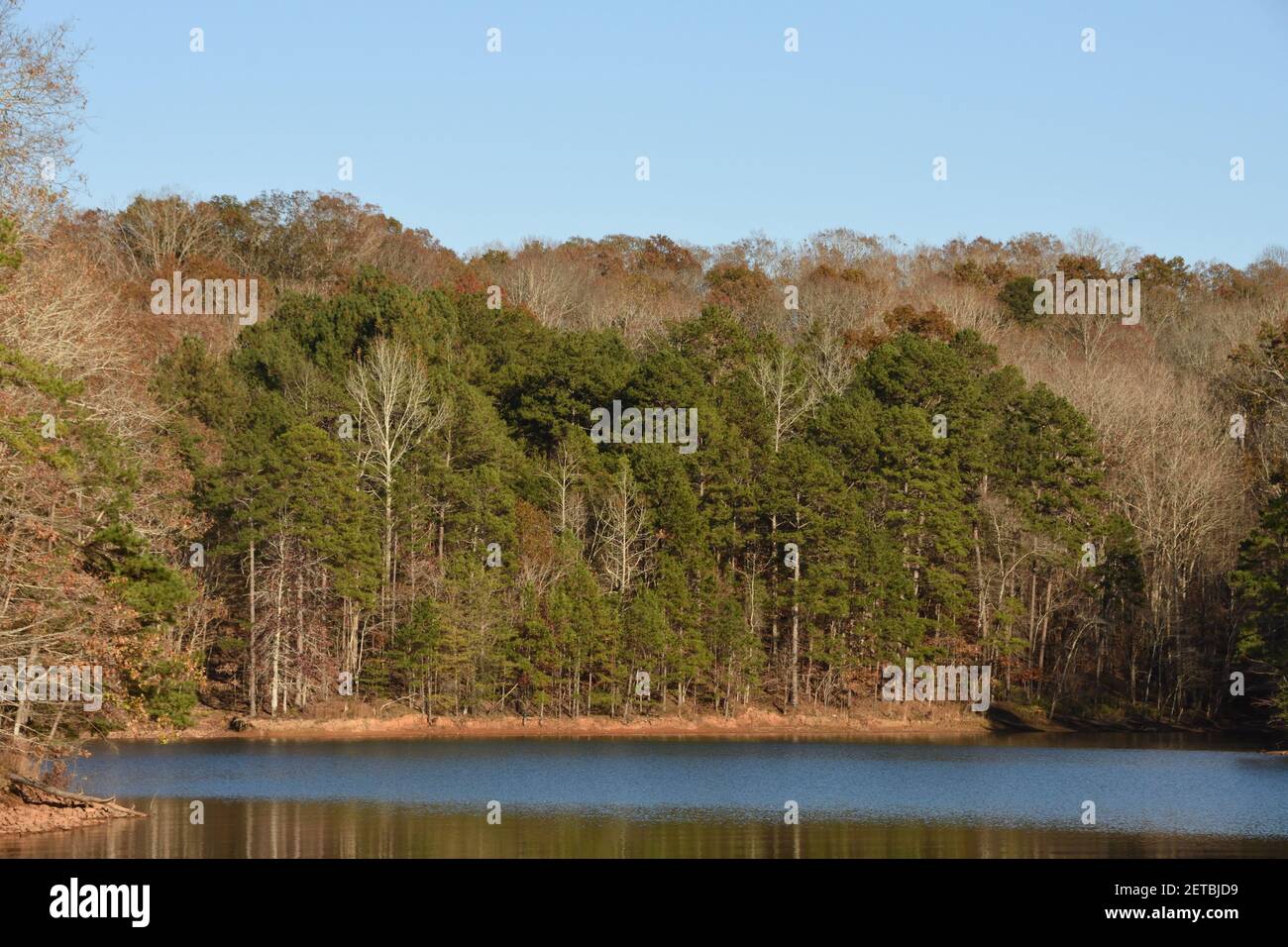 Lake Lanier, the largest lake in Georgia, USA with lush forest in the background. Stock Photo