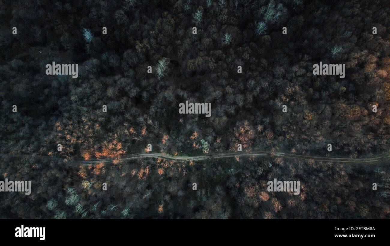 An aerial view of a road amidst trees in the forest during autumn Stock ...