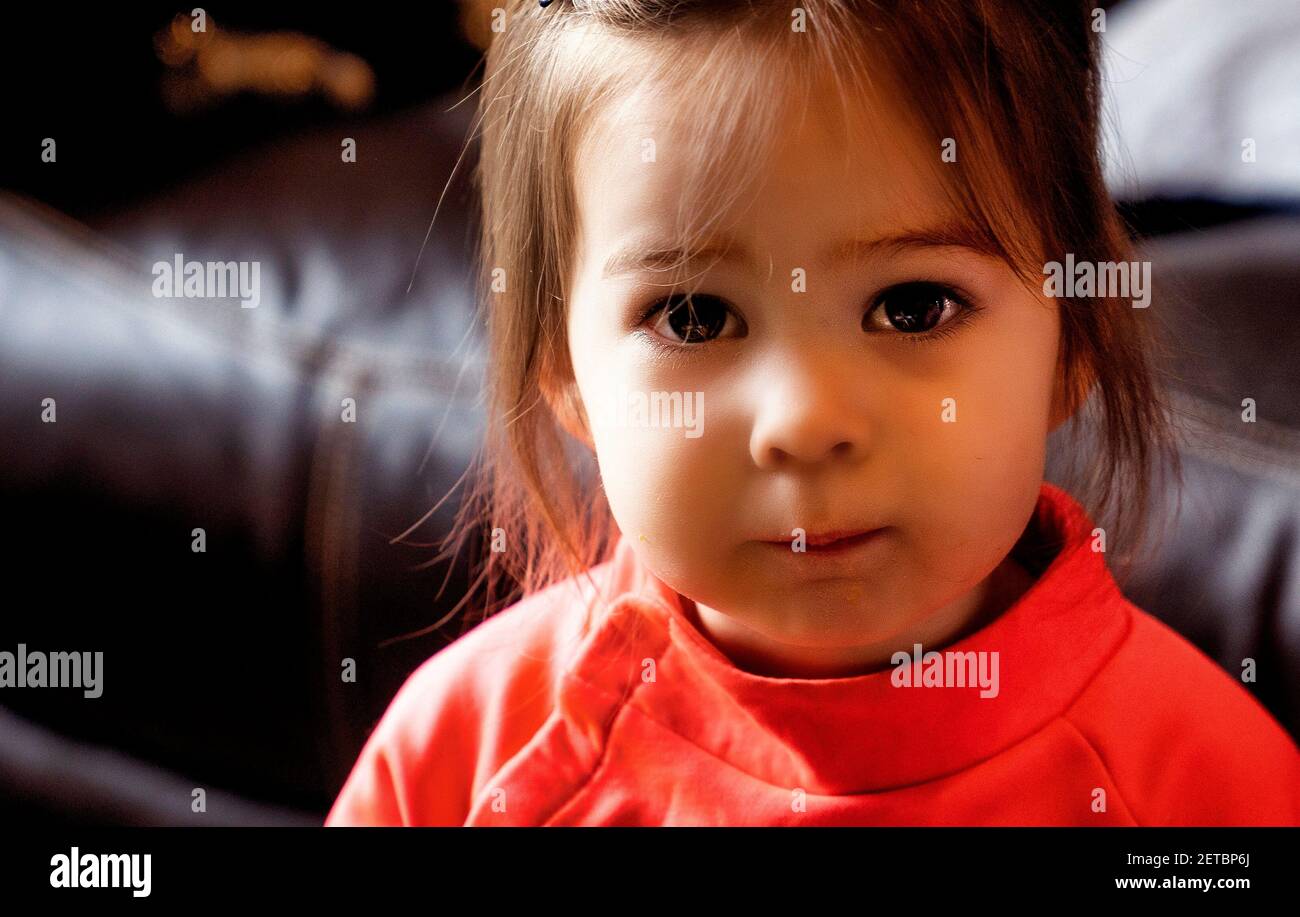 Two year old girl in a quiet moment looking at the camera Stock Photo