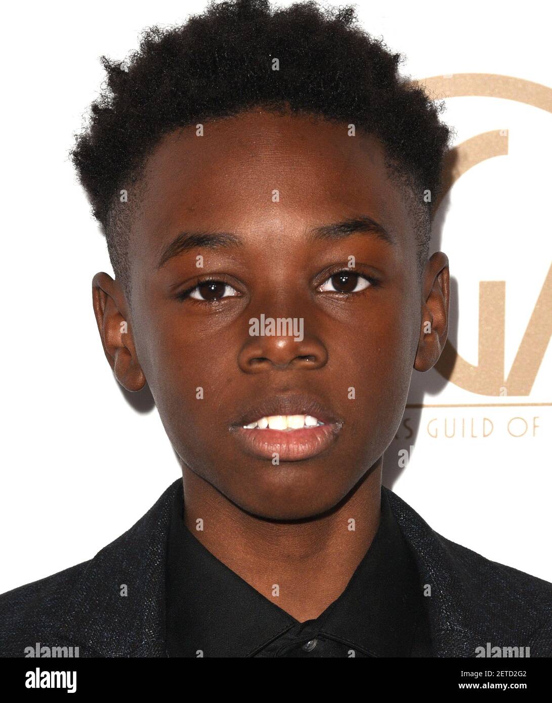 Alex R. Hibbert attends The 2017 Producers Guild Awards at The Beverly