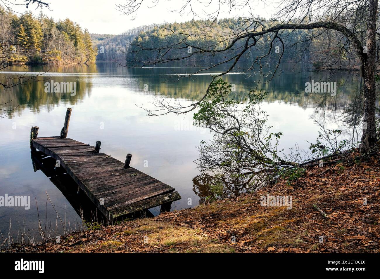 Old wooden pier on Lake Julia - DuPont State Recreational Forest - Cedar Mountain, North Carolina, USA Stock Photo