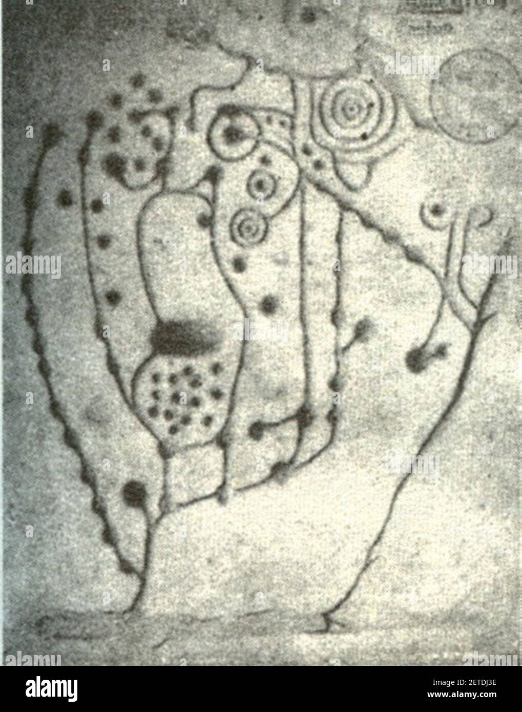 Petroglifos en Esperon - Combarro - Poio 1 por Henrique Campo. Stock Photo