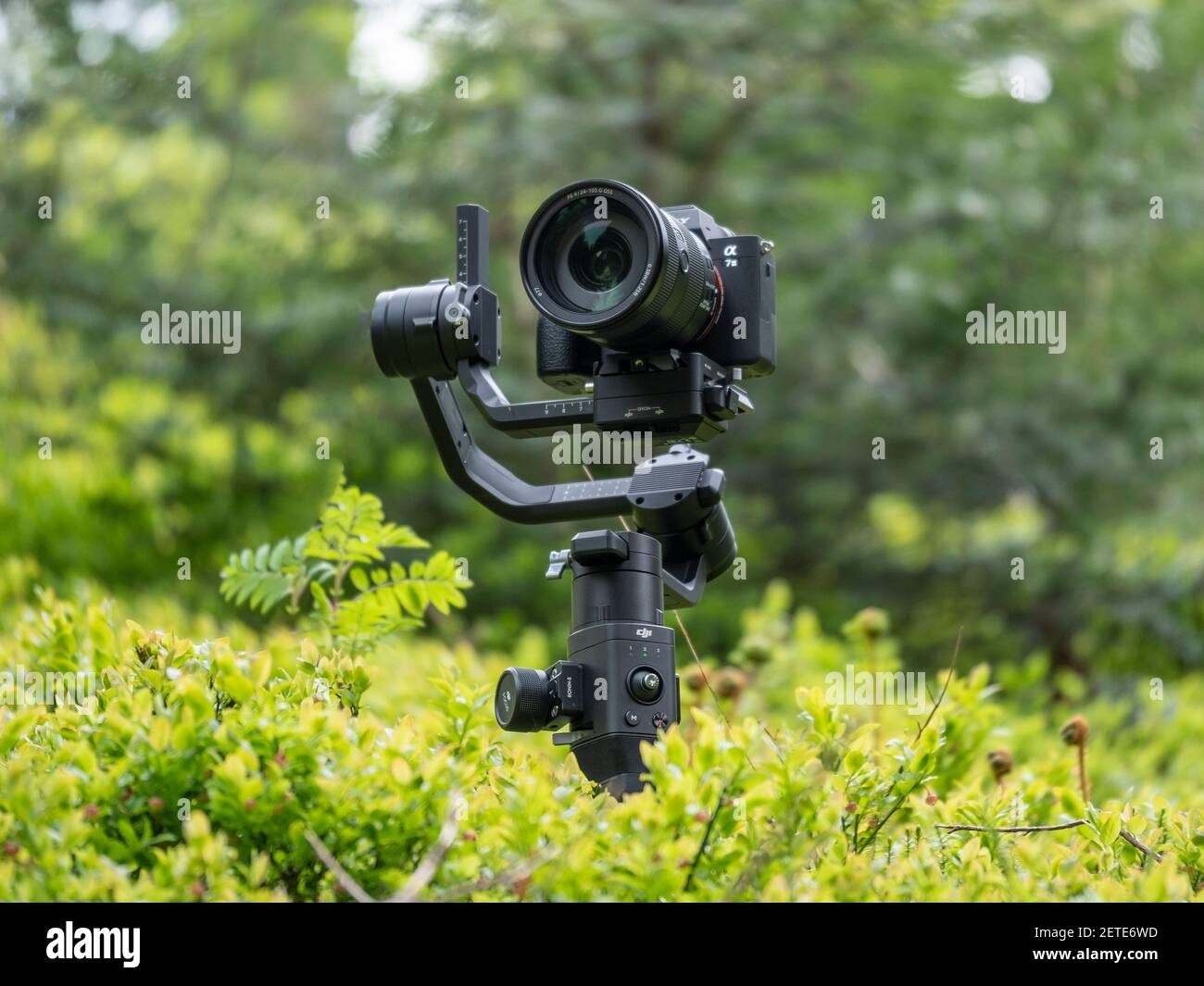 KEMPTEN, GERMANY - Jan 01, 2021: Sony A7III with DJI Ronin-S in the forrest  Stock Photo - Alamy