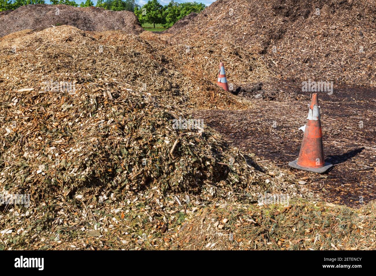 Mounds of mulch made from wood chips, leaves and twigs Stock Photo