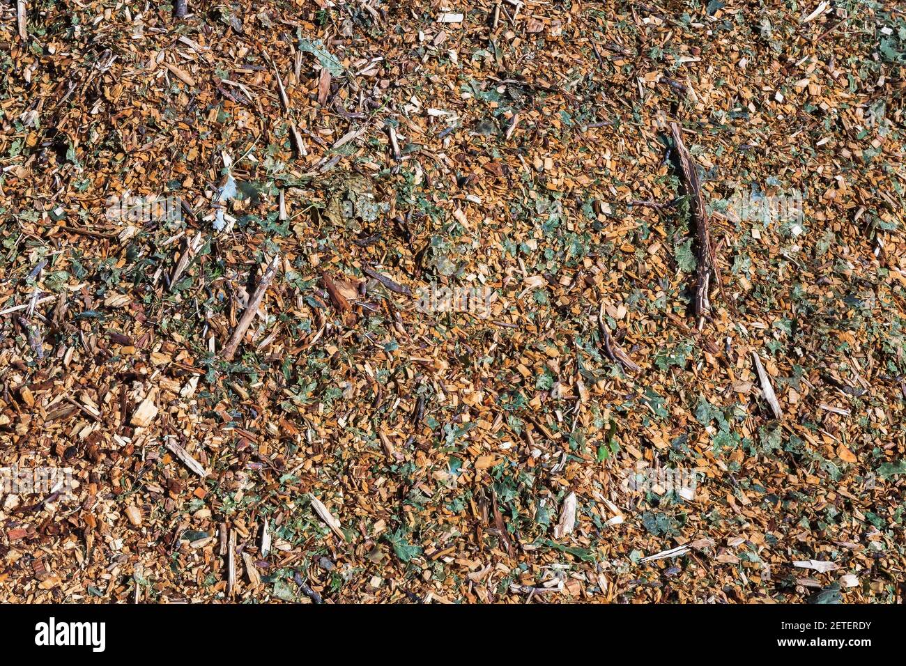 Close-up of mound of mulch made from wood chips, leaves and twigs Stock Photo