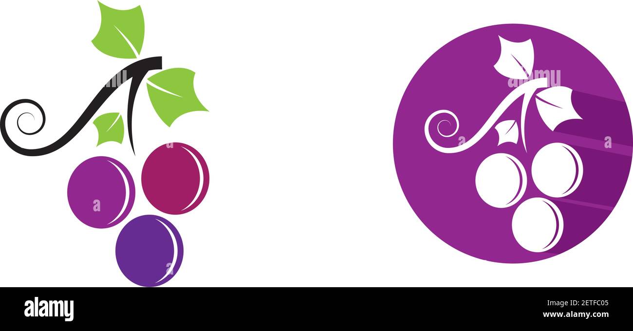 Grape logo template vector icon illustration design Stock Vector