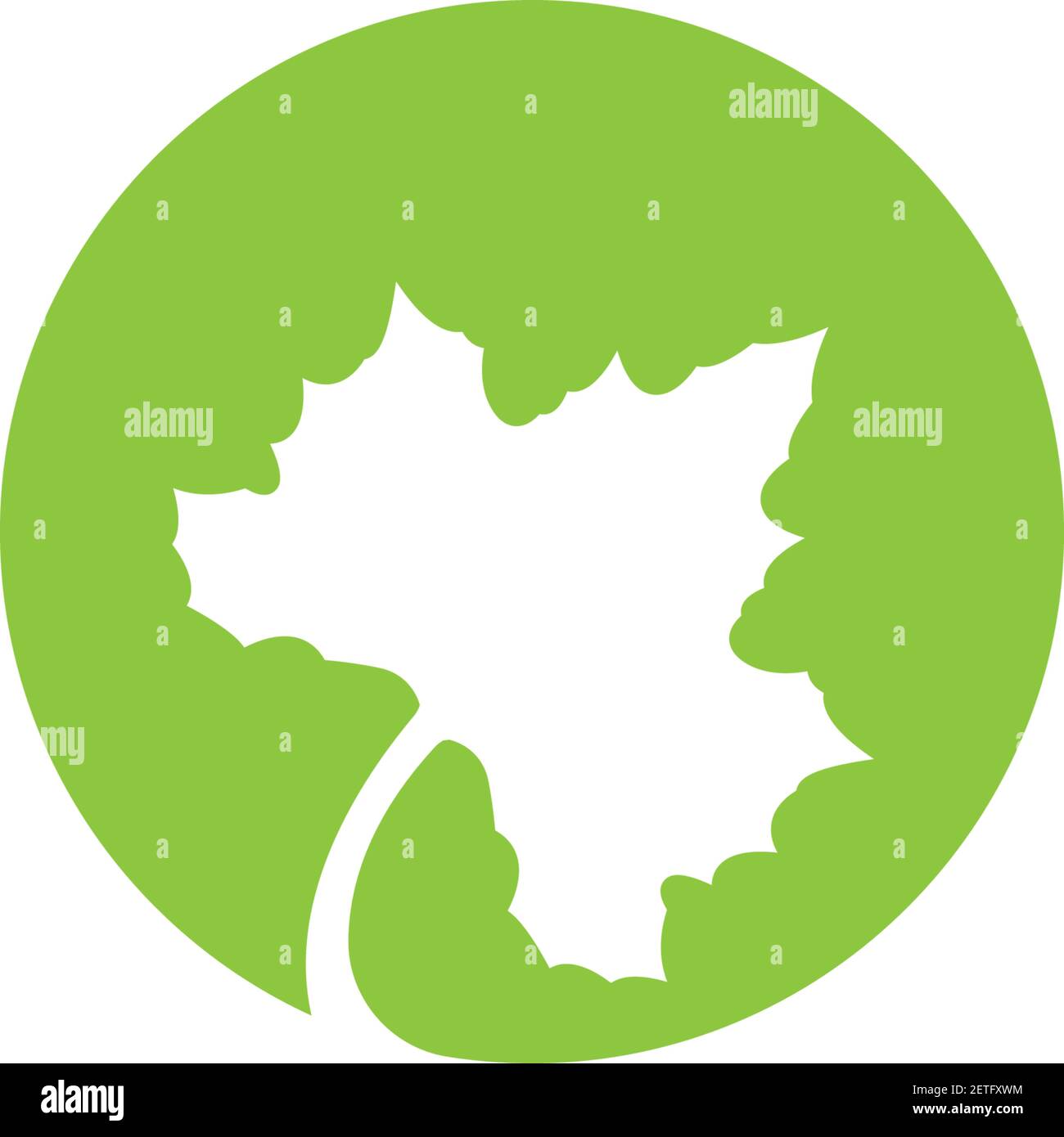 Maple leaf vector icon illustration Stock Vector Image & Art - Alamy