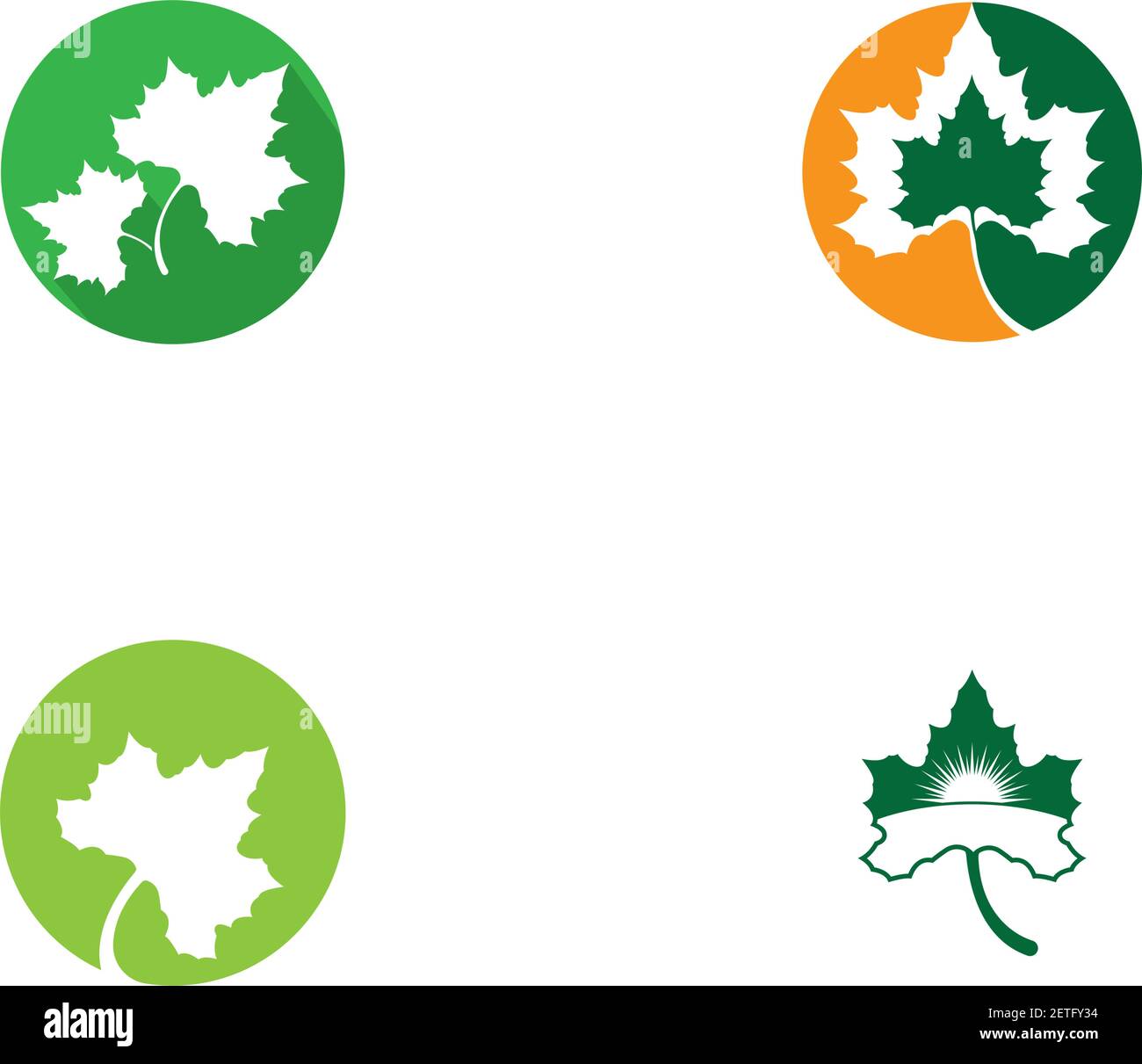 Maple leaf vector icon illustration Stock Vector Image & Art - Alamy