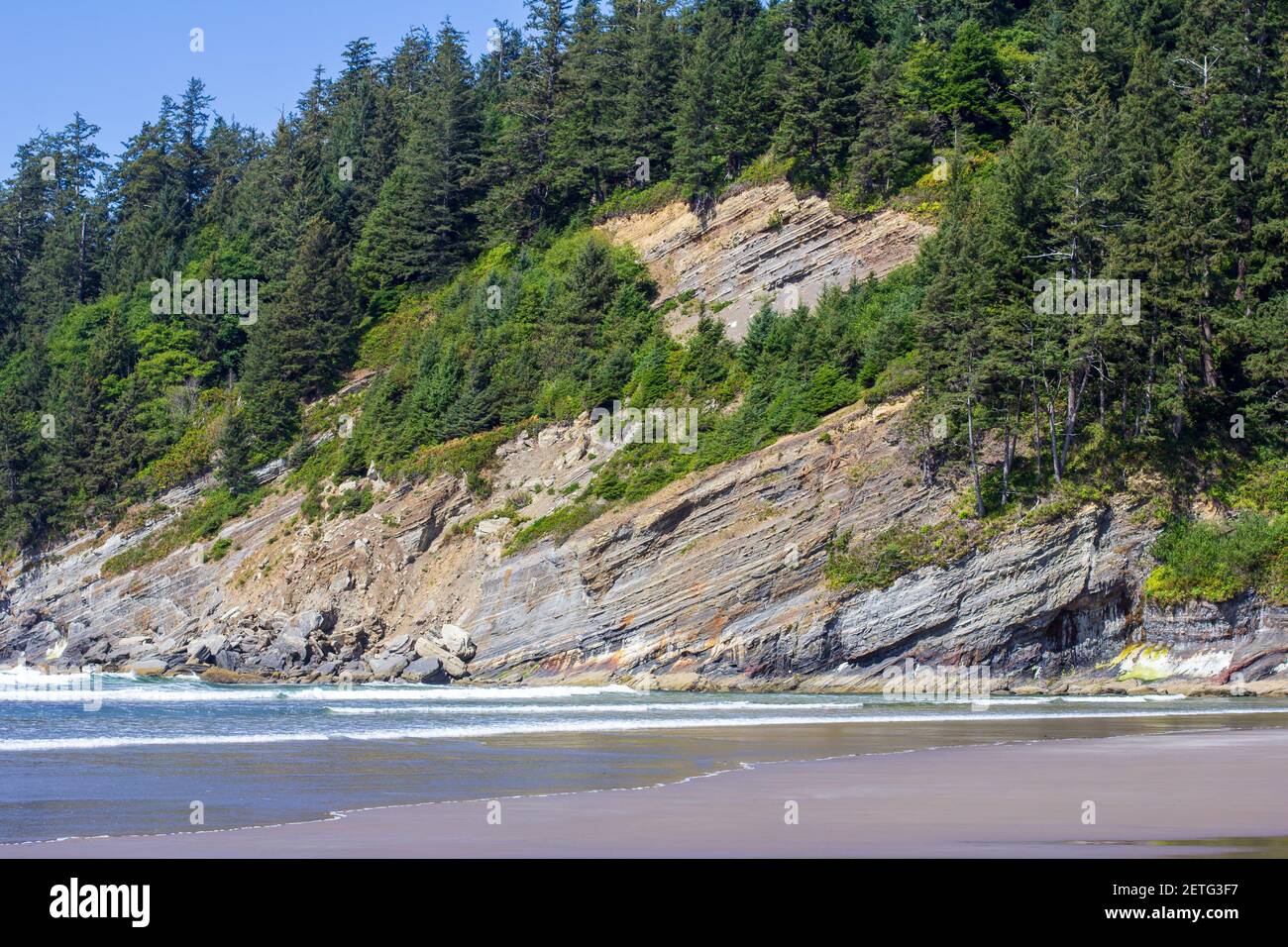 Cape Falcon shelters Smuggler Cove and Short Sand Beach on the Oregon coast Stock Photo