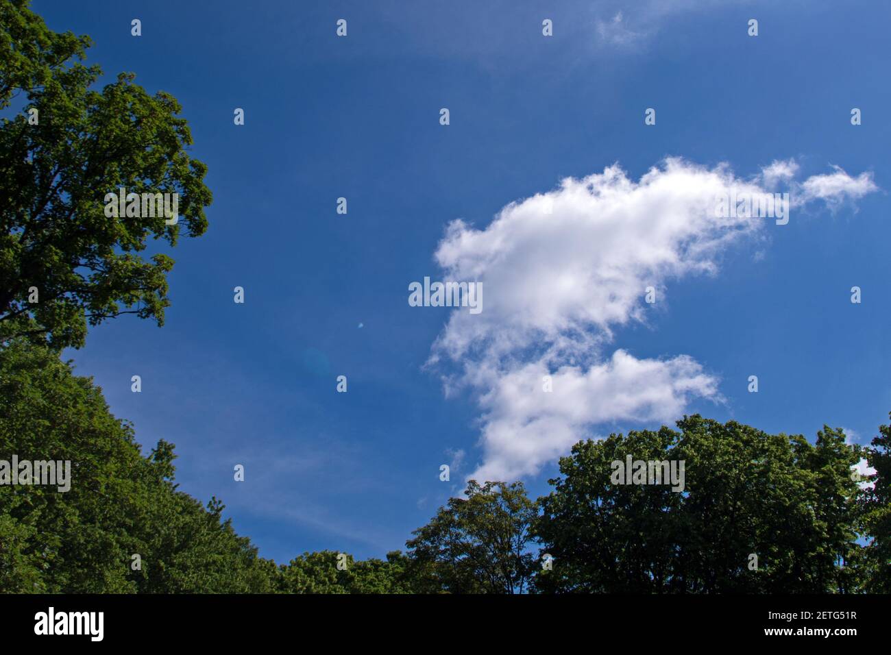 Magical Form Blue Green Smoke High Resolution Stock Photography And Images Alamy Magical Form Blue Green Smoke High Resolution Stock Photography And Images Alamy