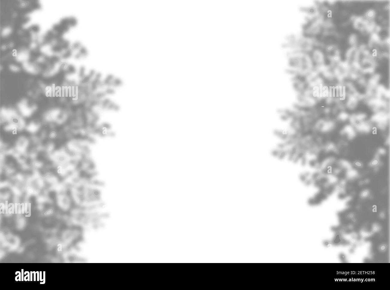 Vector Summer background of plant shadows. Shadow of tree leaves on a white wall. White and black to overlay a photo or mockup Stock Vector