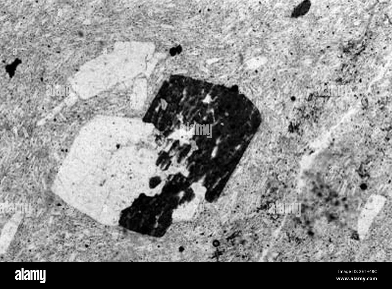 Photomicrograph-porphyritic-aphanitic-felsic-rock-USGS. Stock Photo