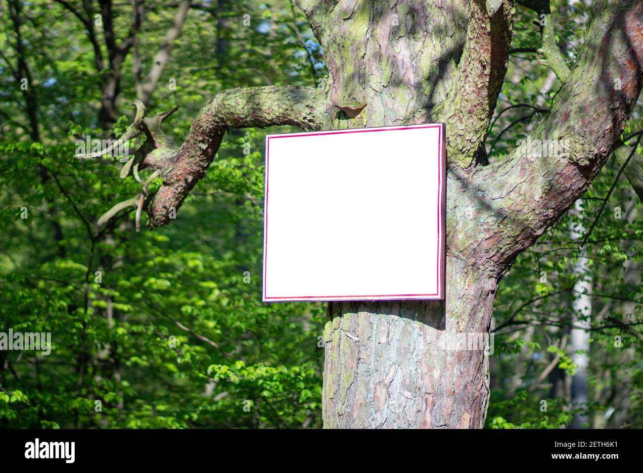 Billboard in the forest hi-res stock photography and images - Alamy