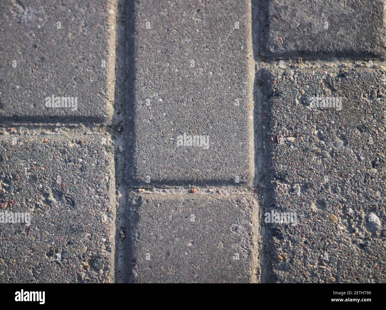 Grey brick paving slabs on the street Stock Photo