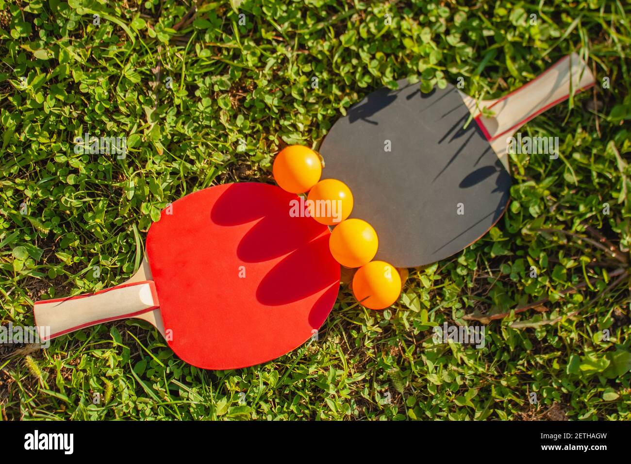 Black and red table tennis rackets and 4 orange balls lie on the grass ...