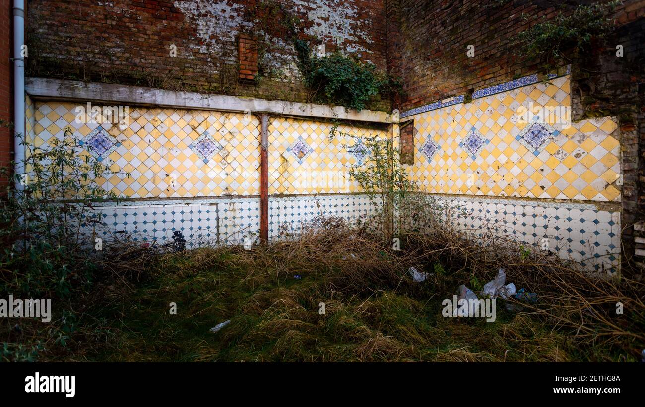 Remaining tiled wall of a demolished building. Stock Photo