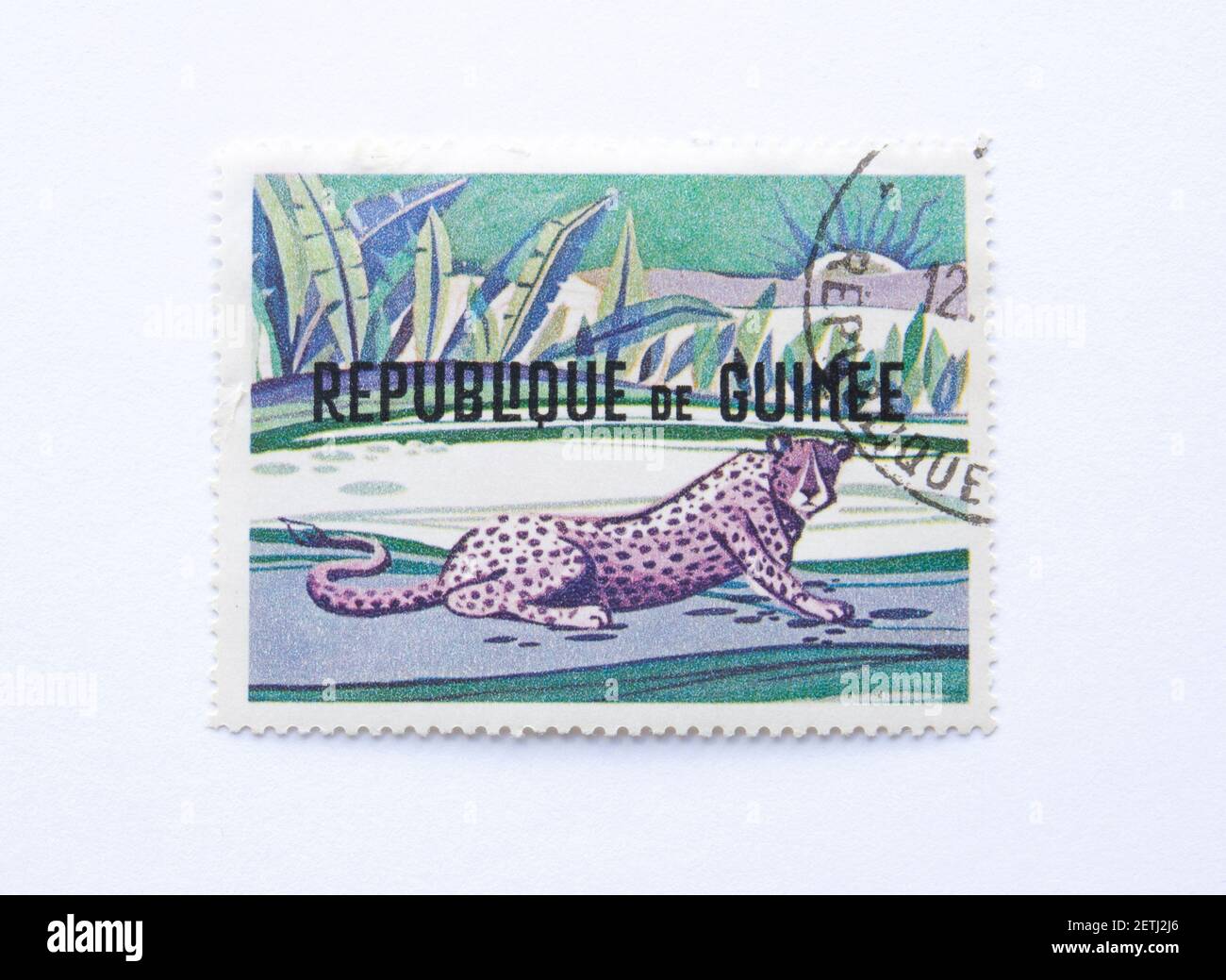 01.03.2021 Istanbul Turkey. Guinea Republic Postage Stamp. circa 1968. lying jaguar Stock Photo