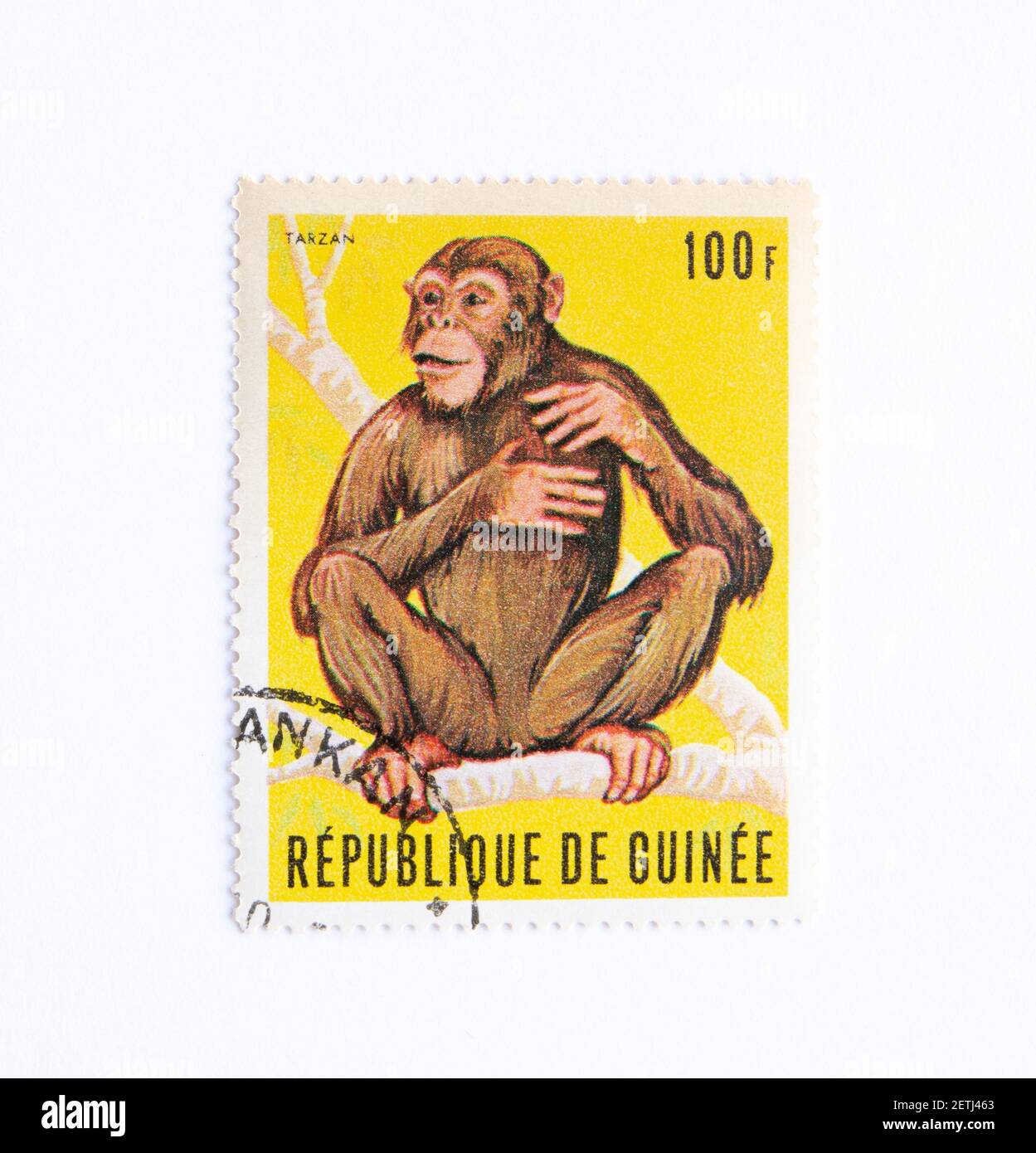 01.03.2021 Istanbul Turkey. Guinea Republic Postage Stamp.  circa1969. Republic of Guinea. Chimpanzee Tarzan Stock Photo