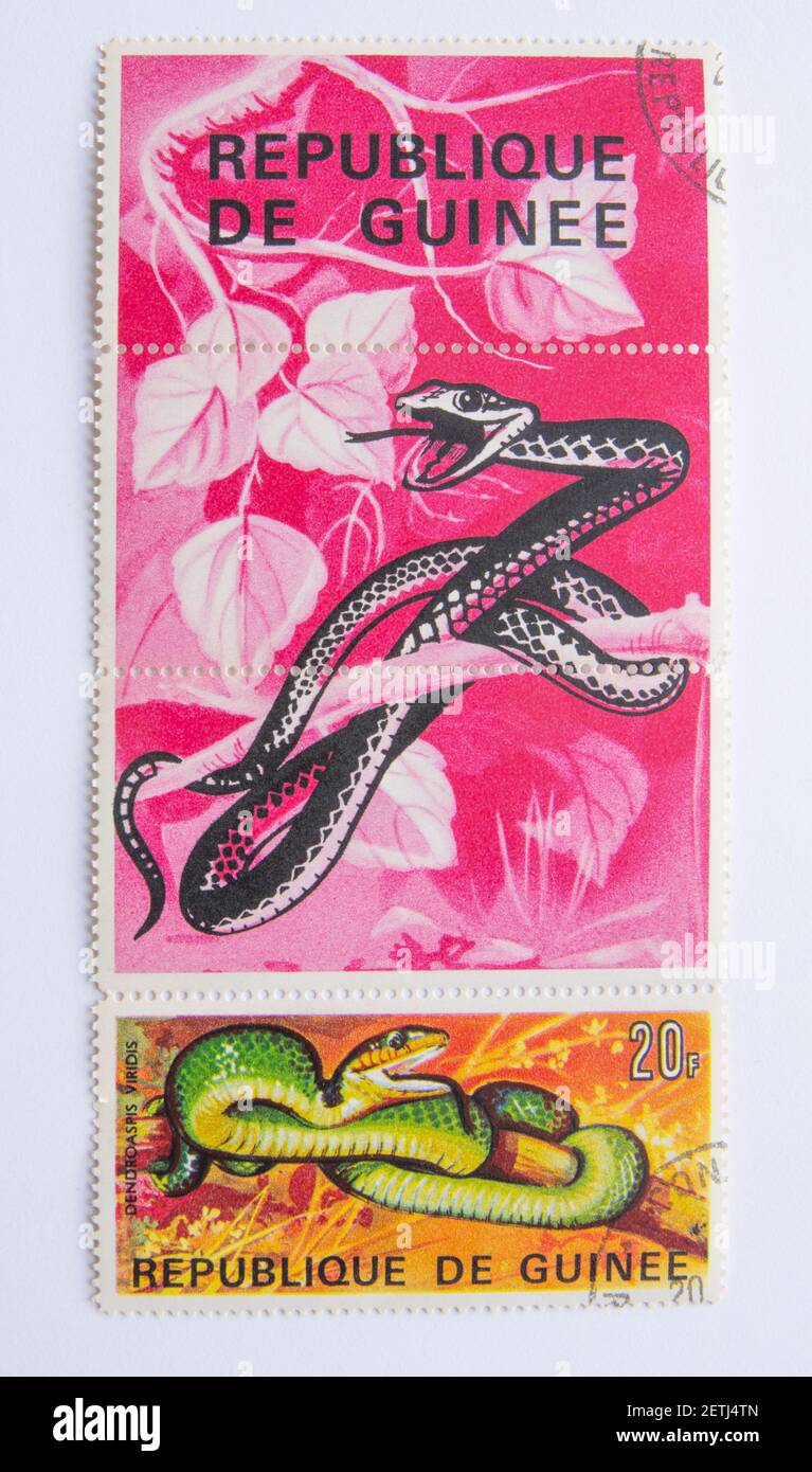 01.03.2021 Istanbul Turkey. Guinea Republic Postage Stamp. circa 1967. reptilies stamp series. green mamba. Stock Photo