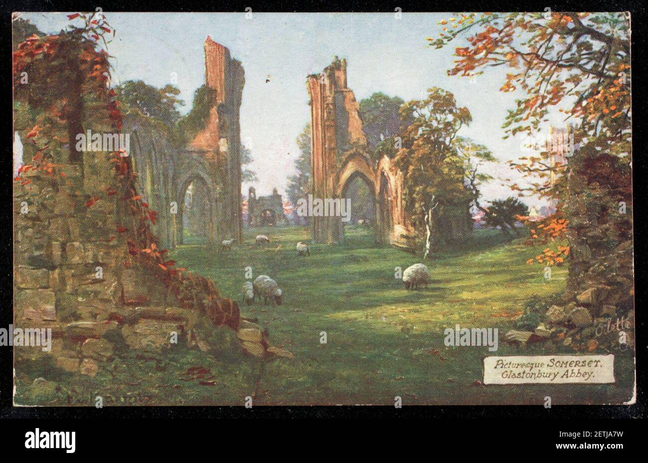 Picturesqe Somersest. Glastonbury Abbey. Stock Photo