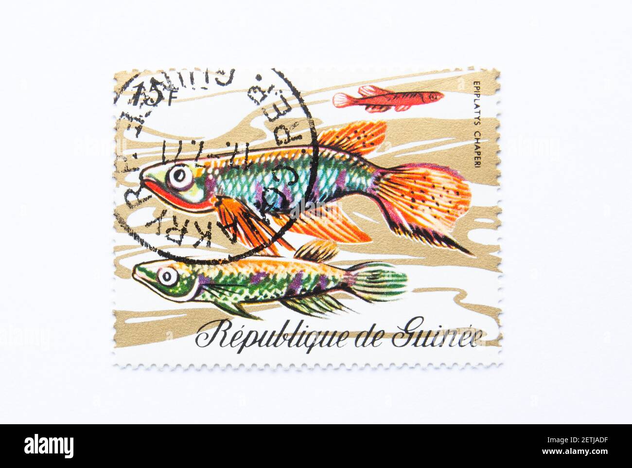 01.03.2021 Istanbul Turkey. Guinea Republic Postage Stamp. circa 1971. epiplatys chaperi.  Toothed carp Stock Photo
