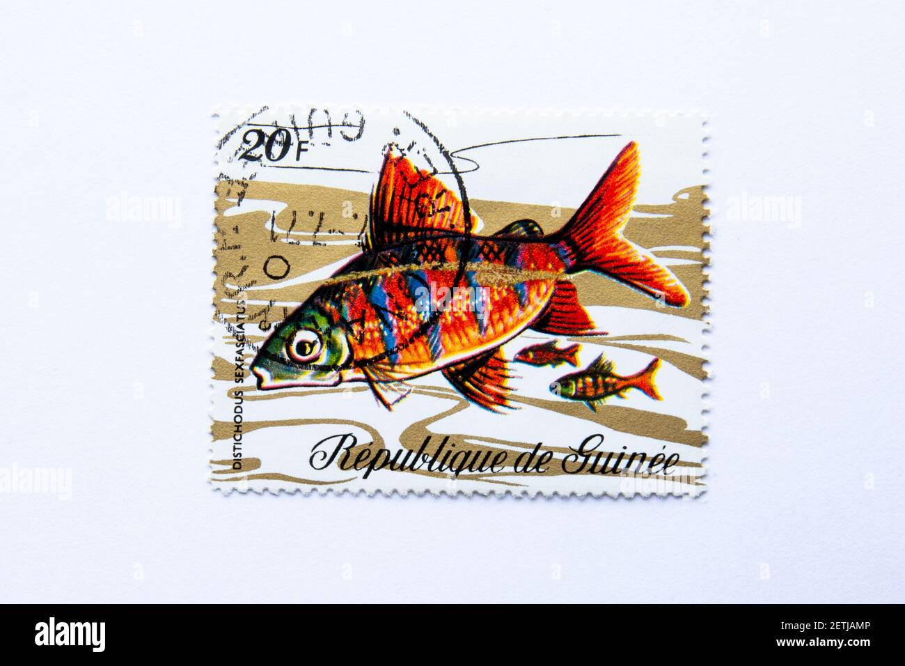 01.03.2021 Istanbul Turkey. Guinea Republic Postage Stamp. circa 1971. distichodus sexfasciatus stamp. Six-banded distichodus Stock Photo