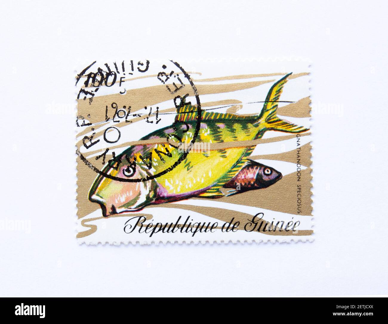 01.03.2021 Istanbul Turkey. Guinea Republic Postage Stamp. circa 1971. Golden trevally. gnathanodon speciosus Stock Photo