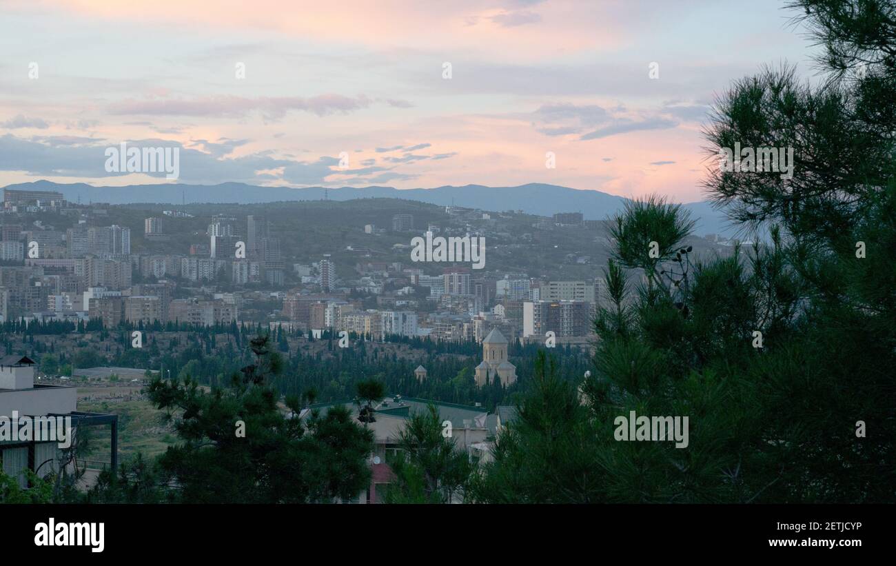 The city of Tbilisi, Georgia with hills and mountains in the background seen through the green fir tree on the calm, beautiful evening Stock Photo